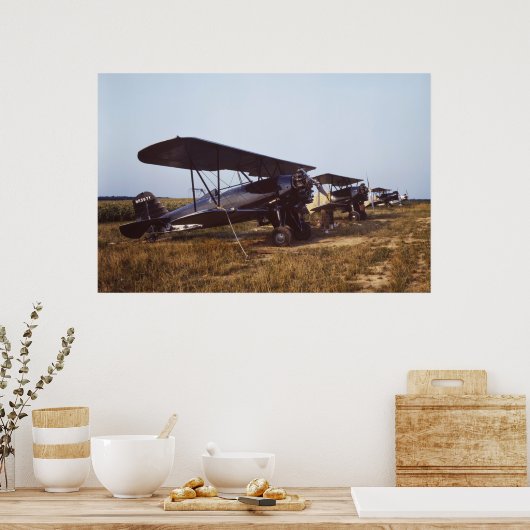1940s Crop Duster Biplanes Poster (Küche)