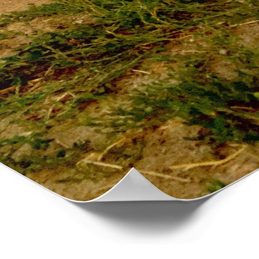 1954 Chevy Lieferwagen Poster (Ecke)