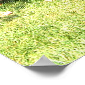 1955 Mercedes Benz 300SL Gullwing Poster (Ecke)