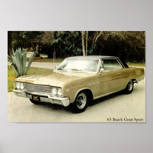 1965 Buick Skylark Gran Sport Poster (Vorne)