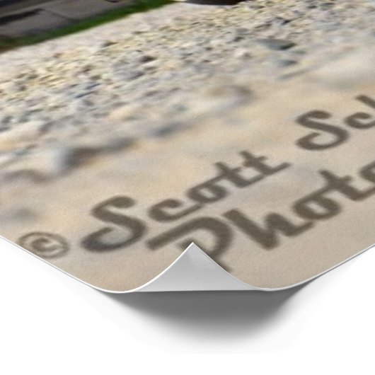 1965 Impala Poster (Ecke)