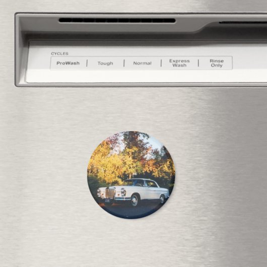 1965 Mercedes-Benz 220SEb Coupe Magnet (In Situ (Geschirrspüler))