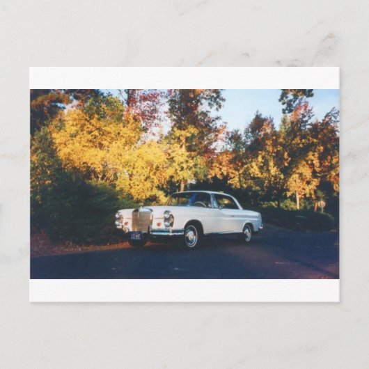 1965 Mercedes-Benz 220SEb Coupe Postkarte (Vorderseite)