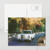 1965 Mercedes Benz 220SEb Cup Classic Postkarte (Vorne/Hinten)