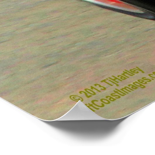 1965 SUNBEAM TIGER 289 POSTER (Ecke)