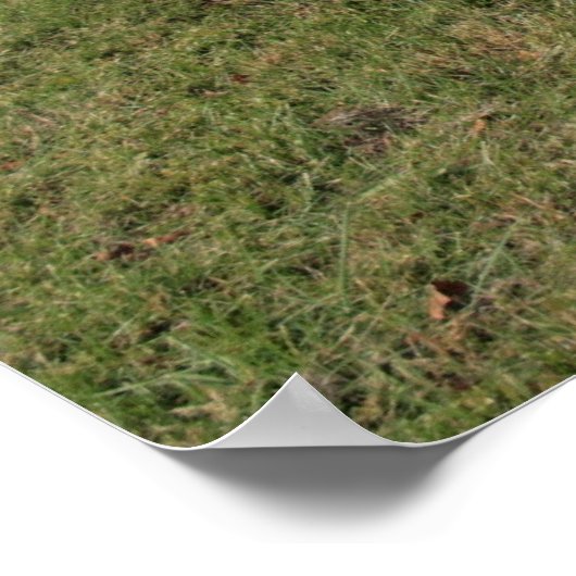 1966 Dodge Coronet Poster (Ecke)