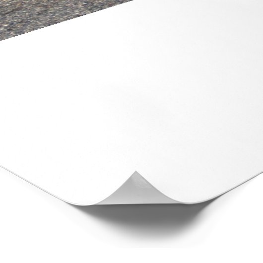 1966 Pontiac Tempest Poster (Ecke)