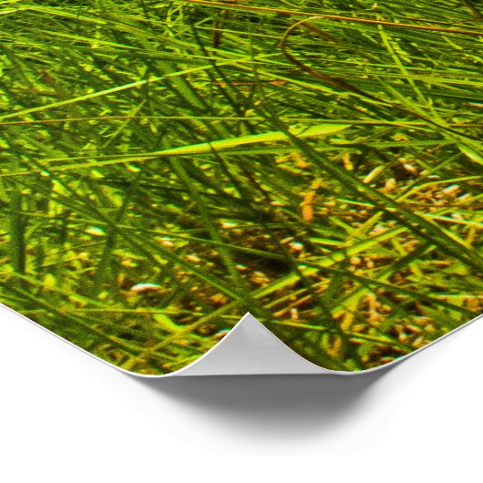 1968 4-4-2 POSTER (Ecke)