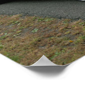 1968 Dodge-Ladegerät 440 magnum Poster (Ecke)