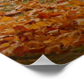 1969 ältere Menschen 442 Poster (Ecke)