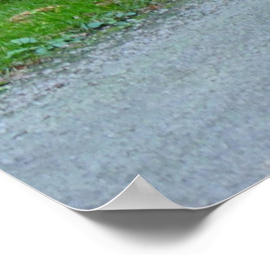 1969 Oldsmobile 442 Poster (Ecke)