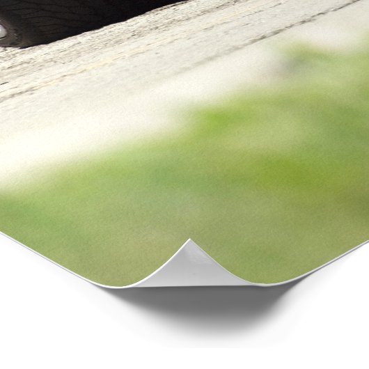 1969 Z28 POSTER (Ecke)