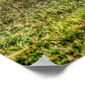 1970 Plymouth GTX Poster (Ecke)