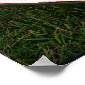 1970 Plymouth Superbird Poster (Ecke)