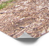 1970 Weltmobiler Kindersport Poster (Ecke)