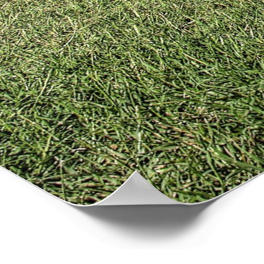 1971 340 'Cuda in HDR. Poster (Ecke)