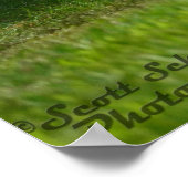 1971 Dodge Challenger R/T 440 Poster (Ecke)