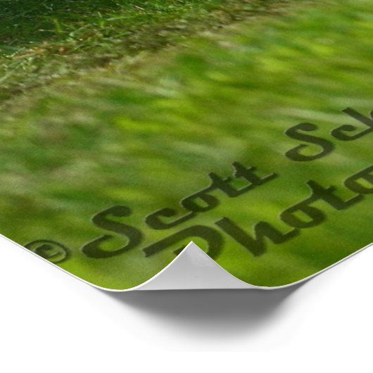 1971 Dodge Challenger R/T 440 Poster (Ecke)