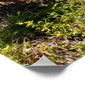 1972 Cutlass Poster (Ecke)