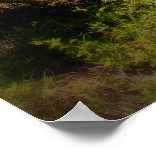 1972 Cutlass Soft Focus Poster (Ecke)