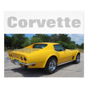1973 Corvette Stingray Designer Fotodruck