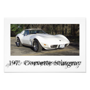 1975 Corvette Stingray Foto