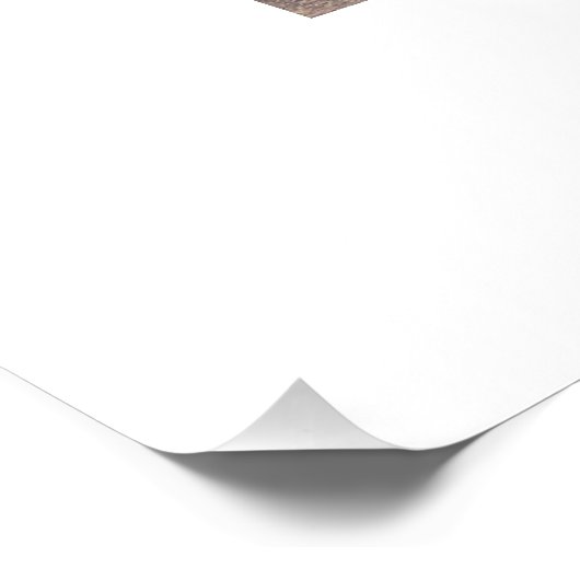 1975 Corvette Stingray Foto (Ecke)