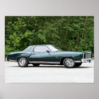 1977 Chevrolet/Chevrolet Monte Carlo Poster