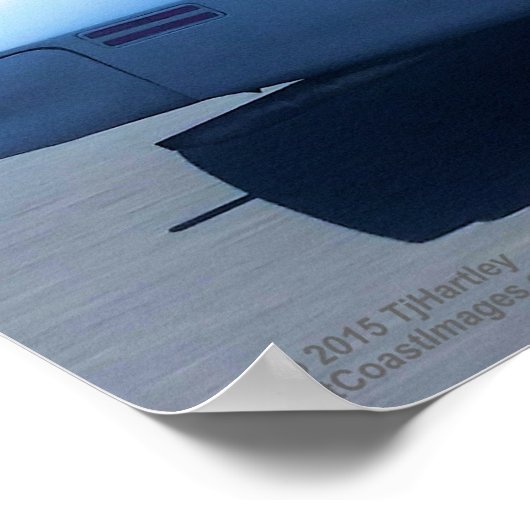 1977 FIREBIRD POSTER (Ecke)