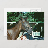 1977 POSTKARTE (Vorne/Hinten)