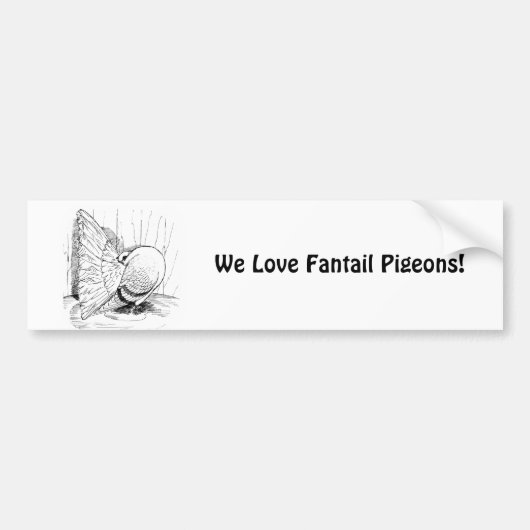 1978 Saddle Autoaufkleber (Vorne)