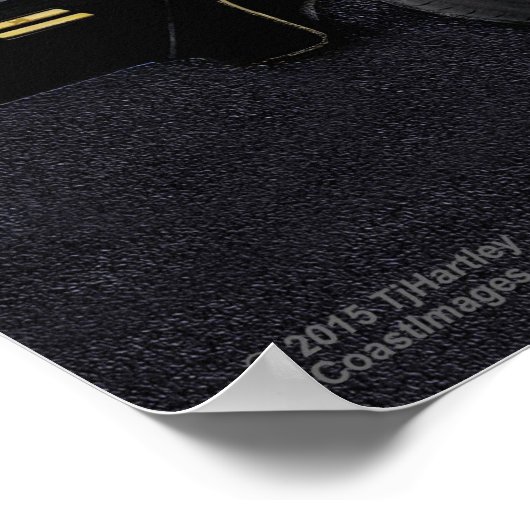 1978 TA 6,6 TRANSAM POSTER (Ecke)