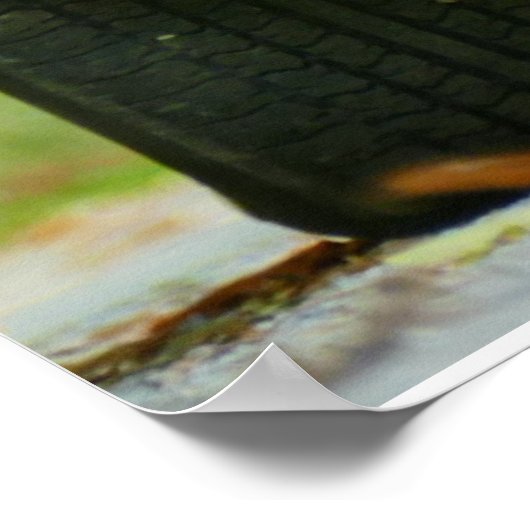 1978 TRANS POSTER (Ecke)