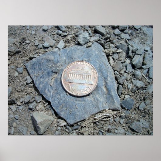 1980 American Penny (Front) Poster (Vorne)