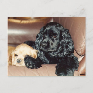 1990 UND DIE LIEBE WAR IN DER LUFT POSTKARTE