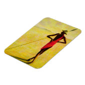 1992 MAGNET (Linke Seite)