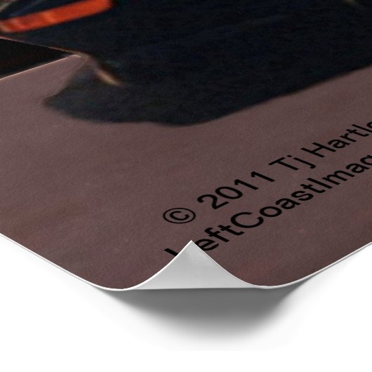 1993 MR2 POSTER (Ecke)