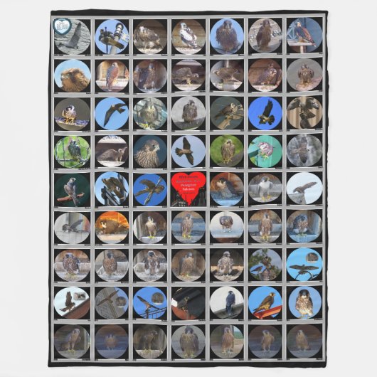 1998-2019 Peregrine Falcons of Rochester, NY Fleecedecke (Vorderseite)