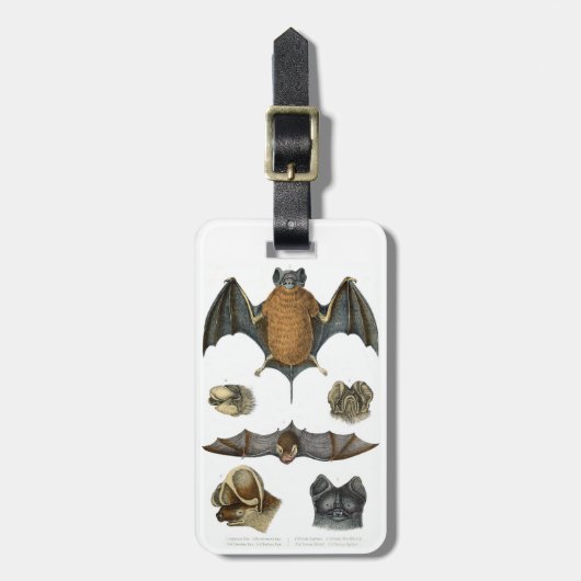 19. C. Bat Print Gepäckanhänger (Vorderseite vertikal)