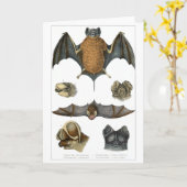 19. C. Bat Print Karte (Gelbe Blume)