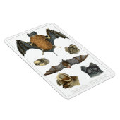 19. C. Bat Print Magnet (Rechte Seite)