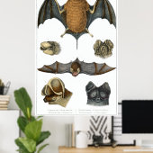 19. C. Bat Print Poster (Heimbüro)