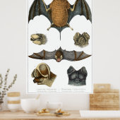 19. C. Bat Print Poster (Küche)