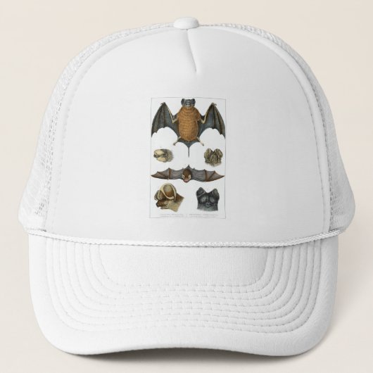 19. C. Bat Print Truckerkappe (Vorderseite)