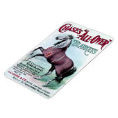 19. C. Chase Horse Blankets Magnet (Linke Seite)
