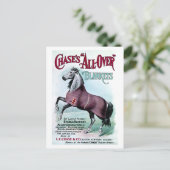 19. C. Chase Horse Blankets Postkarte (Stehend Vorderseite)