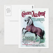 19. C. Chase Horse Blankets Postkarte (Vorne/Hinten)