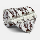 19. C. Fischer und Goliath-Barsch Krawatte (Gerollt)