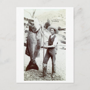 19. C. Fisherman and Goliath Grouper Postkarte