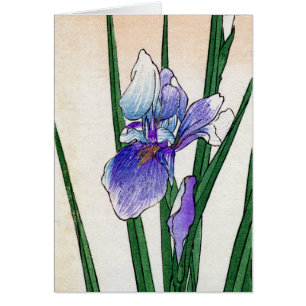 19. C. Japanische Iris